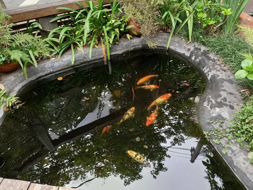 Pousada Zilah Hotel Sao Paulo Bagian luar foto